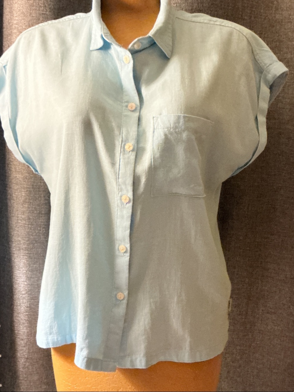 Orvis Pale Blue Short-Sleeve Button-Down Shirt